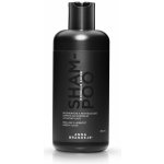 Anna Brandejs Roselle Shine Shampoo 250 ml – Hledejceny.cz