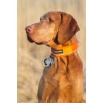 Non-Stop obojek dogwear Bezpečnostní Safe – Zboží Dáma