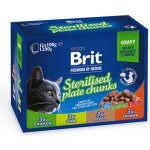 Brit Premium Cat Pouches Sterile Plate 12 x 100 g – Zboží Mobilmania