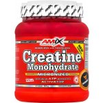 Amix Creatine monohydrate 250 g – Zbozi.Blesk.cz