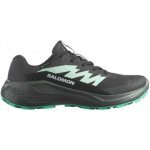 Salomon Alphaglide GTX W478024 dámské nepromokavé běžecké trailové boty phantom/urban – Hledejceny.cz