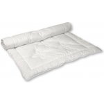 2G Lipov Ultra hřejivá příkrývka Dreamfill 220x200 – Hledejceny.cz