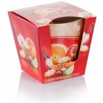 Bartek Candles Christmas Time Cinnamon & Apple 115 g – Zboží Mobilmania