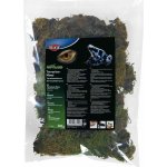 Trixie Reptiland mech do terária 200 g – Zboží Dáma