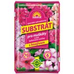 Forestina Substrát pro muškáty a balkonové rostliny 70 l – Hledejceny.cz