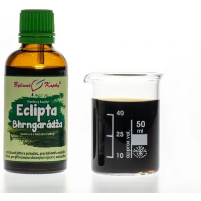 Bylinné kapky Pavlovy bylinné kapky Eclipta Eklipta - Bhrngarádža tinktura 50 ml – Hledejceny.cz