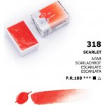 Nevskaya Palitra Akvarelová barva White Nights 2,5 ml Scarlet s – Zboží Dáma