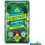 FORESTINA Hoštický Substrát pro jehličnany a jiné okrasné rostliny 40 l – Zboží Dáma