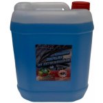 Grand X Zimní kapalina do ostřikovačů -40°C 10 l – Hledejceny.cz