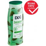 Dixi Kopřivový šampon proti vypadávání vlasů pro všechny typy vlasů 400 ml – Hledejceny.cz