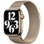Apple Watch 41mm řemínek milánský tah zlatý MTJL3ZM/A – Zbozi.Blesk.cz