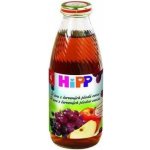 HiPP BIO Z červených plodů ovoce 500 ml – Zboží Dáma