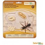 Safari Ltd. Životní cyklus Mravenec – Zboží Mobilmania