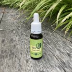 Bachovy esence Snadné učení i zkoušky 20 ml – Hledejceny.cz