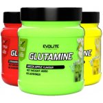 Evolite Glutamine 400 g – Hledejceny.cz