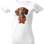 Tričko s potiskem hladkosrstý jezevčík dámské Bílá – Sleviste.cz