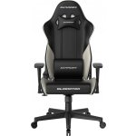 DXRacer GLADIATOR GC/LGN23LTC/NW – Hledejceny.cz