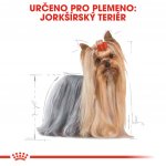 Royal Canin Yorkshire Terrier Adult 3 kg – Zboží Dáma