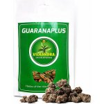 Guaranaplus Guarana + Vilkakora 400 kapslí – Hledejceny.cz