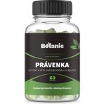 Botanic Právenka latnatá extrakt s 10% Andrographolide 60 kapslí – Hledejceny.cz