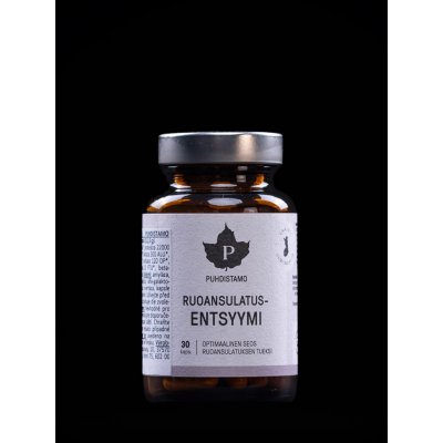 Puhdistamo Digestive Enzymes 30 kapslí – Hledejceny.cz