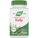 Nature's Way Kelp 100 kapslí – Hledejceny.cz