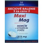 MaxiMag Hořčík+B6 šumivé tablet. 3 x 20 tablet – Hledejceny.cz