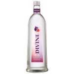 Boris Jelzin Feige 18% 1 l (holá láhev) – Zboží Dáma