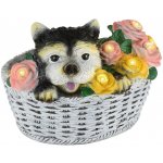 Globo 36371 – Hledejceny.cz