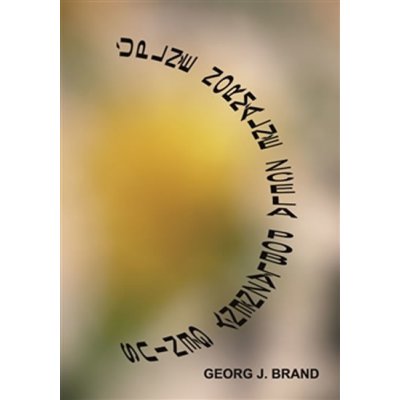 Úplně normálně zcela poblázněný genius - Brand Georg J.