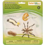 Safari Ltd. SFS662616 Životní cyklus Komár – Sleviste.cz