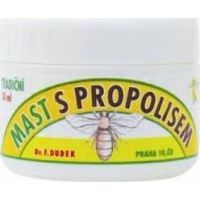 DR. Dudek Mast s propolisem 30 ml – Hledejceny.cz