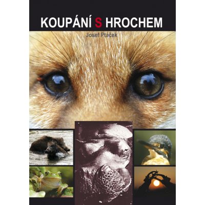 Koupání s hrochem – Hledejceny.cz