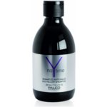 Palco No Time No-Yellow Shampoo 300 ml – Zboží Dáma