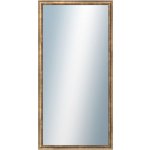 DANTIK TRITON 50 x 100 cm zlatá 2142 – Hledejceny.cz