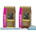 Eukanuba Labrador Retriever 2 x 12 kg – Hledejceny.cz