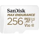 SanDisk microSDHC 256 GB SDSQQVR-256G-GN6IA