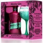 Mintis Gin Gin Mintis Ribesa černý rybíz 41,8% 0,7 l (dárkové balení sklenice) – Sleviste.cz
