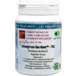 Givanni Maciocia T02 Posílení kořenů Strengthen the Root 60 tablet – Hledejceny.cz
