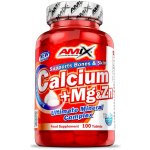 Amix Calcium + Magnesium + Zinek 100 tablet – Hledejceny.cz