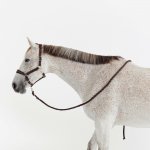 FOUGANZA Set ohlávka + vodítko pro koně CS – Zboží Dáma