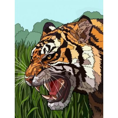 SMT Malování podle čísel Tygr v trávě – Zboží Mobilmania