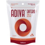 Vitamed Pharma Česko Doplňkové krmivo pro psy na trávení Vitamed ADIVA Entero Small & Medium Dogs 28 tbl – Hledejceny.cz