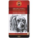 Koh-i-Noor 1900 Toison D´or 8B 2H – Zboží Živě