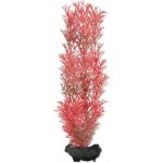 Tetra Myriophyllum heterophyllum - Red Foxtail 23 cm – Zboží Mobilmania