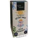 Serafínkův dětský sirup Učení a pozornost 200 ml – Hledejceny.cz