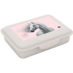 Oxybag Box na svačinu kůň Koně romantic 9-58126 – Hledejceny.cz