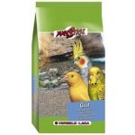 VERSELE-LAGA Prestige Grit & Coral 20kg – Zboží Mobilmania