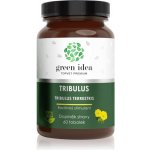 Green idea Tribulus bylinný extrakt 60 kapslí – Hledejceny.cz