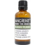 Ancient Wisdom Ylang Ylang BIO éterický olej 50 ml – Zbozi.Blesk.cz